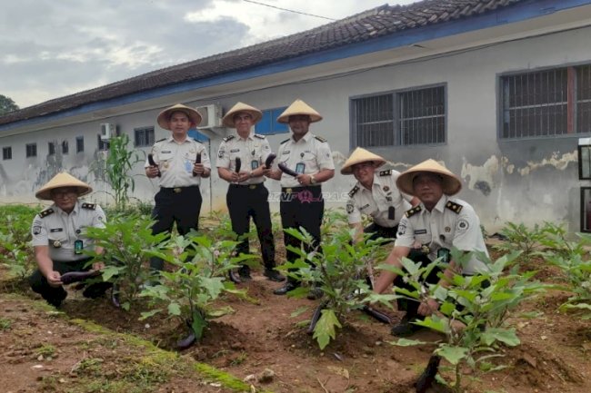Panen Raya Serentak, Lapas Metro Wujudkan Ketahanan Pangan dan Kepedulian Sosial