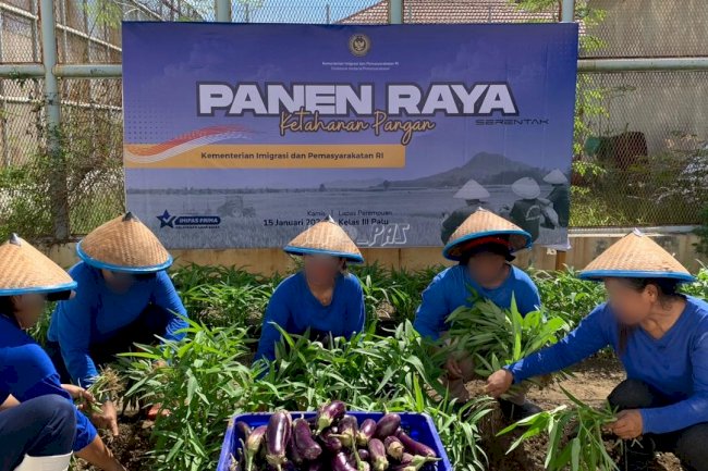 Panen Raya Serentak, Lapas Perempuan Palu Panen 40 Kg Sayuran