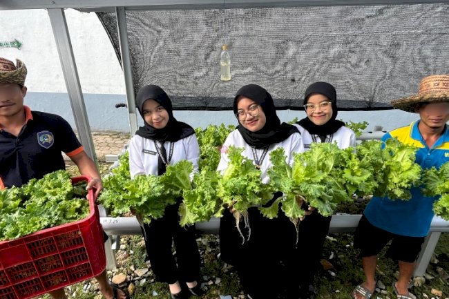 Panen Selada Hidroponik Berkelanjutan, Bukti Pembinaan Produktif di Lapas Kotabaru