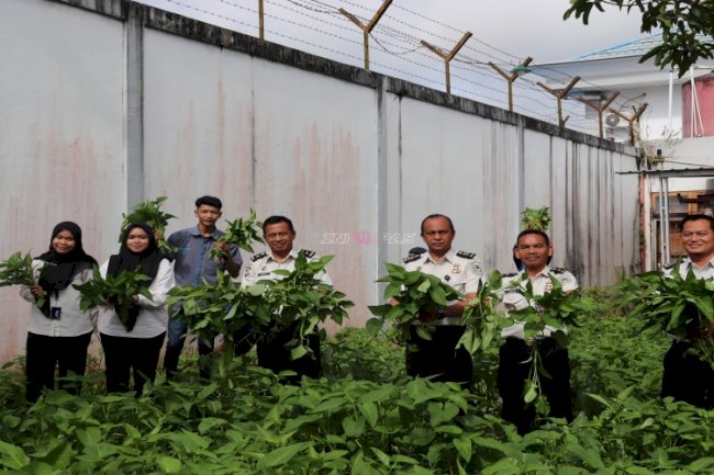 Panen Kangkung Bukti Keberhasilan Pembinaan Kemandirian di Lapas Tanjung