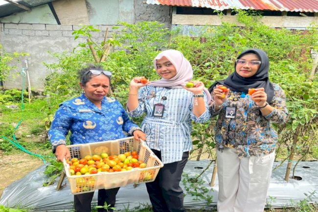 Lapas Wahai Manfaatkan Hasil Panen Tomat untuk Kebutuhan Dapur Lapas