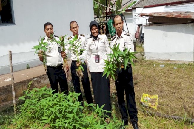 Bapas Muara Bungo Panen Raya Kangkung dan Salurkan Bantuan untuk Pesantren Darul Basyair