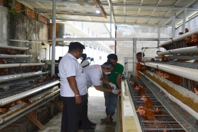 Lapas Narkotika Muara Sabak Vaksinasi 150 Ayam Petelur, Gandeng Dinas Perkebunan dan Peternakan Kab. Tanjung Jabung Timur
