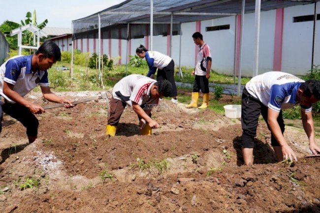 Perkuat Edukasi Keterampilan, LPKA Martapura Gelar Praktik Lapangan Perkebunan