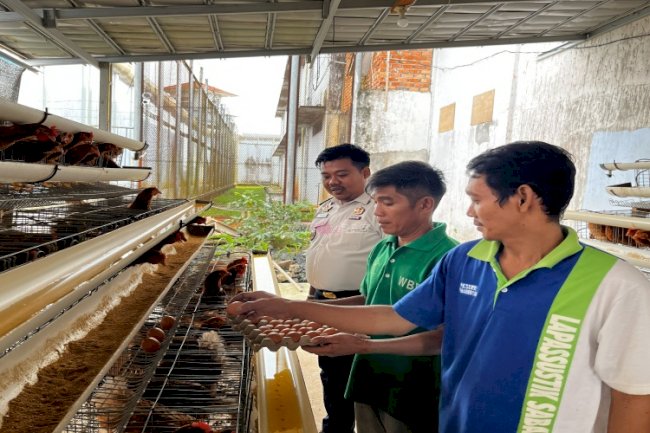 Panen Telur Perdana Perkuat Pembinaan Kemandirian di Lapas Narkotika Muara Sabak