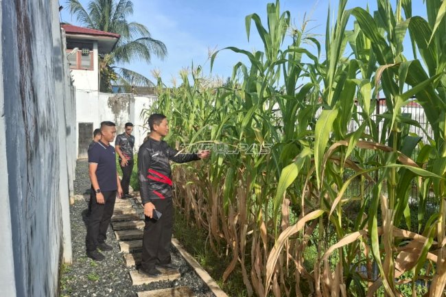 Deteksi Dini Keamanan, Karutan Marabahan Tinjau Brandgang dan Perkebunan