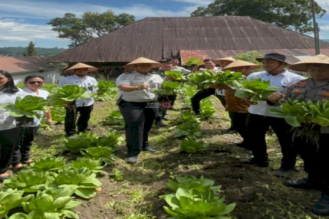 Dukung Ketahanan Pangan, Rutan Tarutung Panen Pakcoy dan Bawang Prei