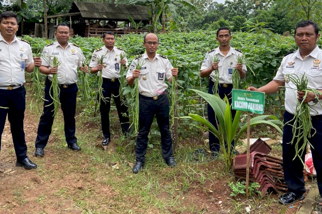 Hasilkan Produk Berkualitas, Lapas Batang Panen Raya Kacang Panjang