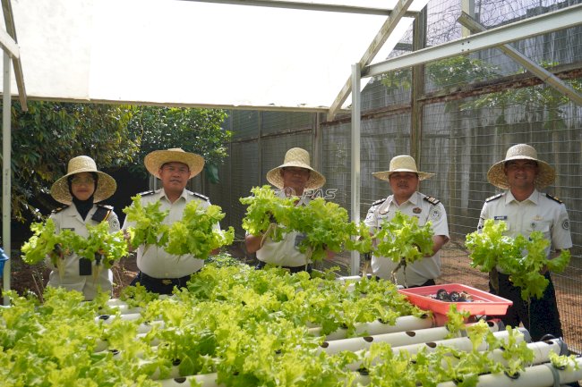 Lapas Banjarbaru Optimalkan SAE, Panen 15 Kg Selada Hidroponik
