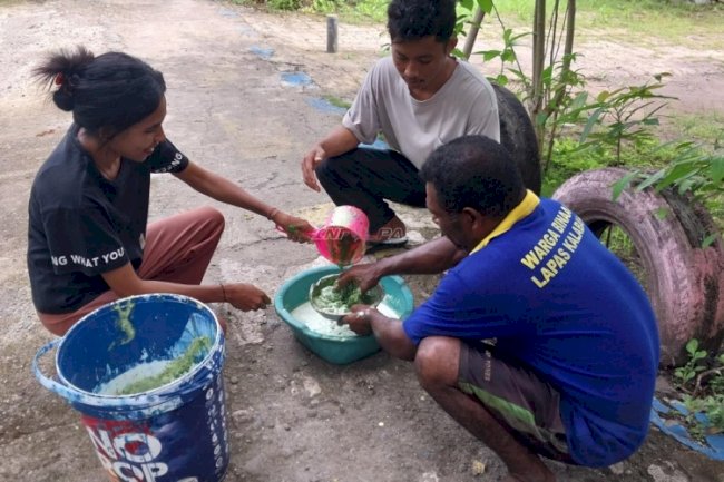 Dari Kebun Lapas Kalabahi, Warga Binaan Pelajari Pestisida Alami bersama Peserta Magang 
