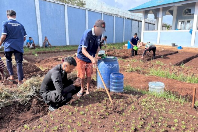 Pembinaan Produktif, Lapas Saumlaki Tanam Kangkung di Lahan Pertanian
