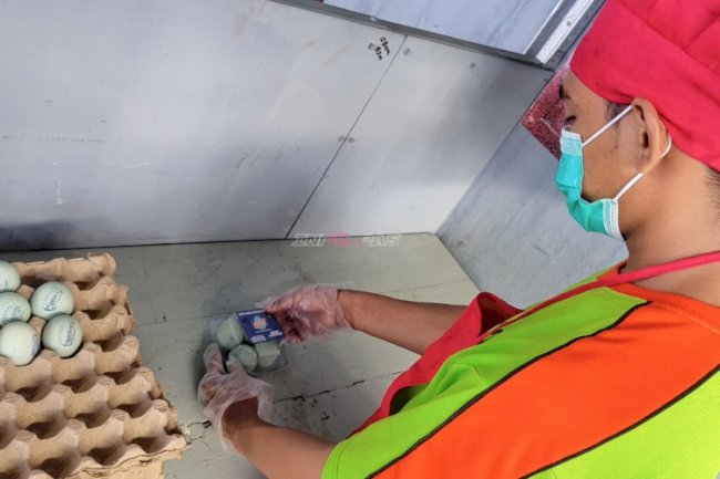 Lapas Kotabaru Kembangkan Program Kemandirian lewat Produksi Telur Asin La New City