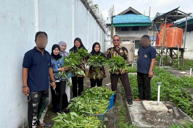 Lapas Amuntai Panen 25 Kg Kangkung, Hasil Pembinaan Kemandirian Warga Binaan