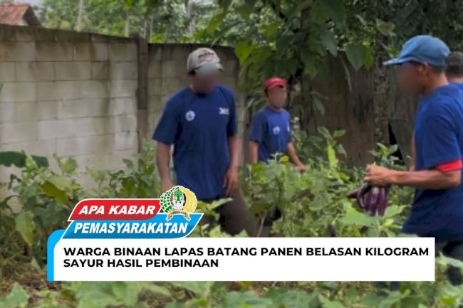 Warga Binaan Lapas Batang Panen Belasan Kilogram Sayur Hasil Pembinaan