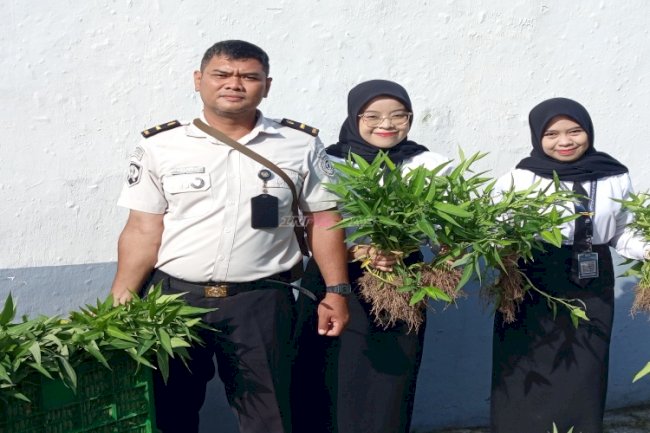 Dari Pembinaan menuju Kemandirian, Warga Binaan Lapas Kotabaru Panen 50 Kg Kangkung