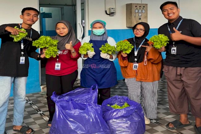 Dukung Ketahanan Pangan, Rutan Majene Suplai 16 Kg Selada ke SPPG Kab. Majene