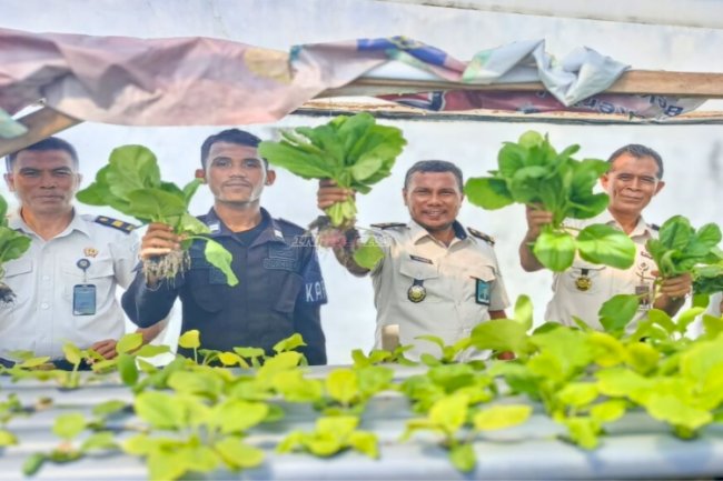 Lapas Bandanaira Panen Sayur Hidroponik Hasil Budidaya Warga Binaan