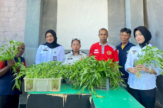 Warga Binaan Panen Sayuran Hidroponik, Penuhi Kebutuhan Dapur Lapas Wahai