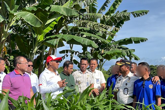 Kanwil Ditjenpas NTT Dorong Pembinaan Kemandirian, SAE Lapas Kupang Jadi Contoh Pertanian Produktif
