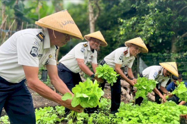 Dukung Ketahanan Pangan, Lapas Bandanaira Panen Sayur Bayam 
