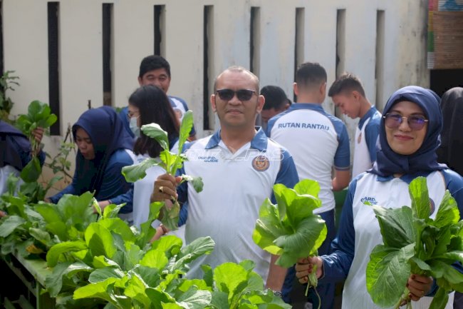 Panen Sawi dan Pakcoy di Lahan SAE, Rutan Rantau Perkuat Ketahanan Pangan