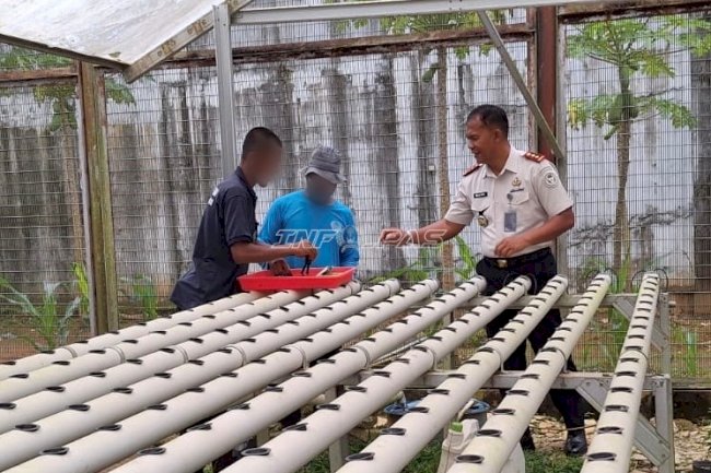 Tanam 200 Bibit Selada Hidroponik, Lapas Banjarbaru Dukung Ketahanan Pangan
