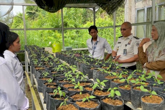Lapas Kuala Tungkal Terima Bibit Cabai dari Dinas Tanaman Pangan dan Hortikultura Kab. Tanjung Jabung Barat