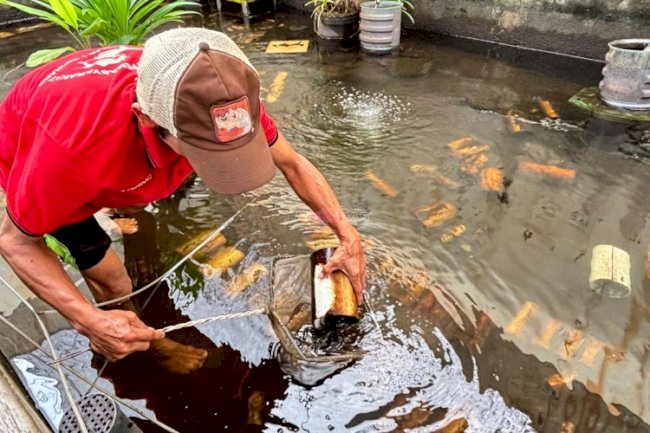 Budidaya Lobster Air Tawar, Lapas Kelas I Cipinang Ubah Lahan Idle Jadi Harapan Baru