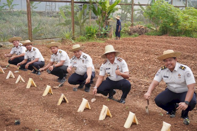 Perkuat Ketahanan Pangan, Lapas Banjarbaru Tanam 300 Bibit Kembang Kol