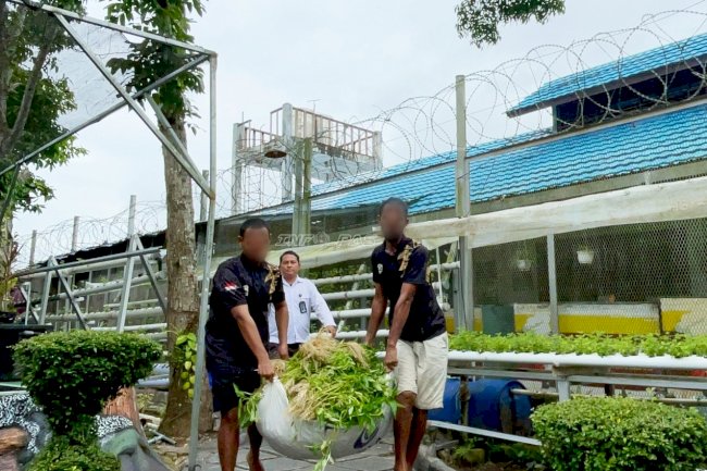 53 Kg Kangkung Hasil Panen Warga Binaan Lapas Narkotika Karang Intan Disalurkan ke Dapur Sehat