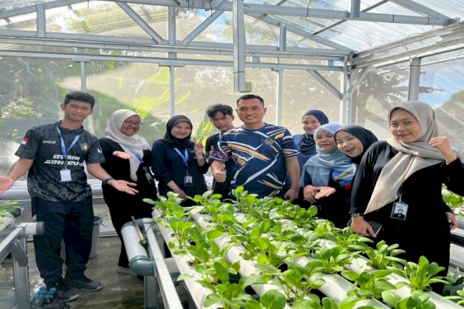 Perkuat Ketahanan Pangan, Bapas Tanjungpandan Kembangkan Sawi Pakcoy di Rumah Hidroponik