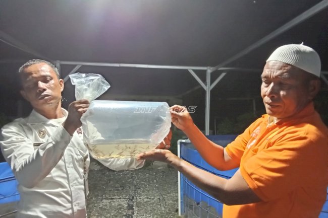 Lapas Namlea Tebar 200 Benih Lele Dumbo, Siap Jadi Produk Unggulan Pembinaan