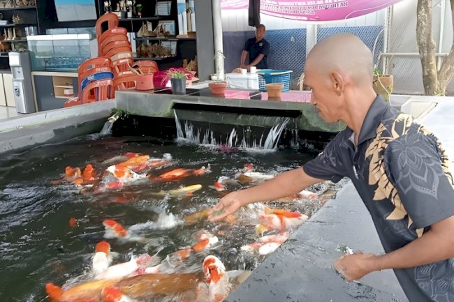 Bekal Produktif untuk Masa Depan, Warga Binaan Lapas Narkotika Karang Intan Tekuni Budidaya Ikan Koi