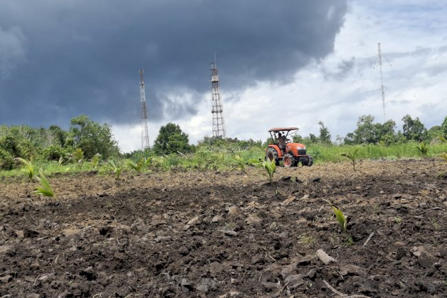 Lapas Sungailiat Revitalisasi Lahan Pertanian Optimalkan Ketahanan Pangan