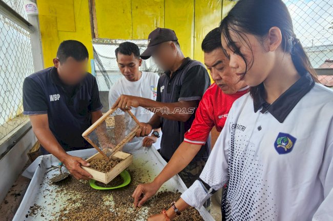 Warga Binaan Lapas Pangkalpinang Kembangkan Budidaya Maggot Bernilai Ekonomi