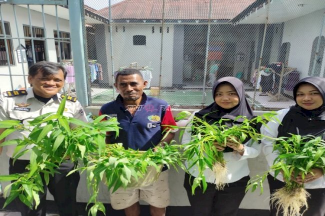 Ramadan Berkah, Lapas Wahai Optimalkan Hidroponik Demi Ketahanan Pangan dan Kebutuhan Dapur