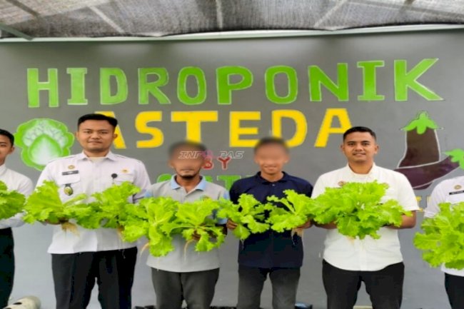 Lapas Banjarmasin Panen 200 Pot Selada Hidroponik, Hasil Melimpah Tebar Optimisme
