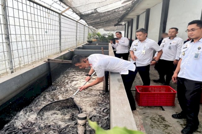 Lapas Jember Panen 1.000 Lele, Bukti Keberhasilan Pembinaan Kemandirian 