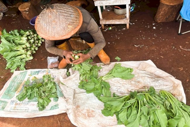 Dalam Suasana Ramadan, Rutan Pelaihari Panen 50 Ikat Sawi