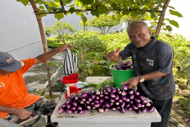 Rutan Kebumen Kembali Panen Terong Ke-16 Kali Seberat 20 Kg