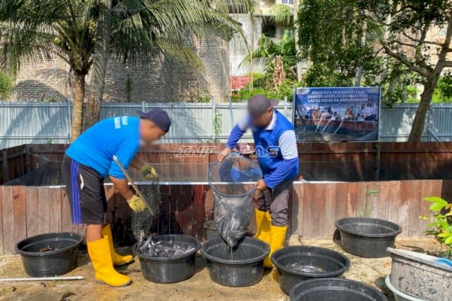 Rekor Baru Budidaya SAE 1, Lapas Banjarmasin Panen 255,5 Kg Lele