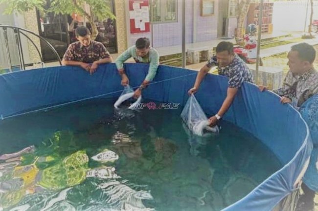 Bapas Amuntai Siapkan Kolam dan Tebar Bibit, Bimbing Klien Menuju Mandiri