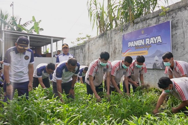 LPKA Martapura Panen Kangkung, Anak Binaan Produktif Dukung Ketahanan Pangan