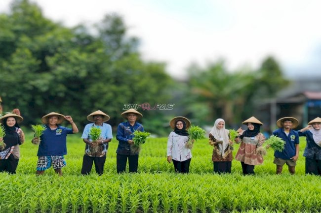 Warga Binaan Produktif, Lapas Bandanaira Panen Kangkung dan Bayam