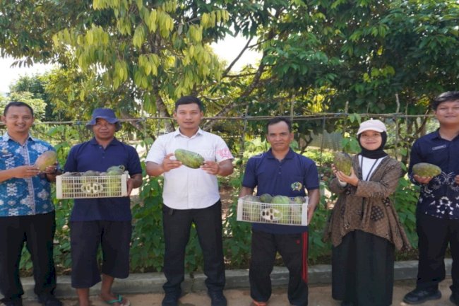 Lapas Banjarbaru Panen 20 Kilogram Mangga Kiojay, Dukung Pembinaan Kemandirian Warga Binaan