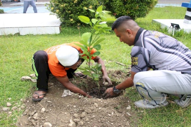Lapas Piru Tanam 12 Pohon Jeruk Red Pamelo, Dukung Pembinaan Kemandirian dan Ketahanan Pangan