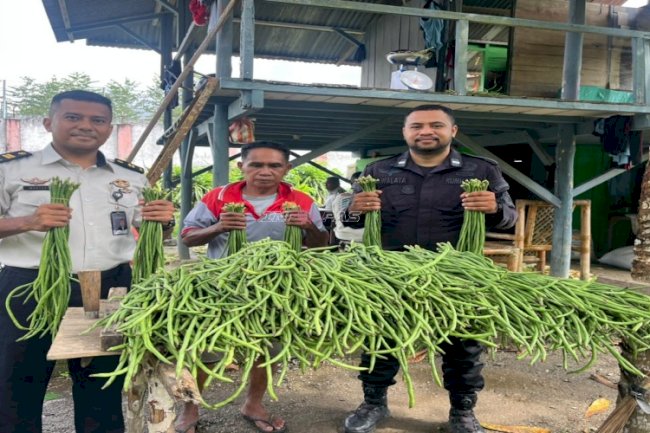 Lapas Piru Panen 65 Ikat Kacang Panjang, Dukung Program Kemandirian dan Ketahanan Pangan