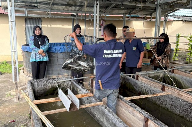 Lapas Amuntai Panen 18 Kg Ikan Patin dari Kolam SAE