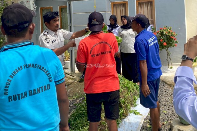 Dukung Ketahanan Pangan, Rutan Rantau Panen 87 Kilogram Sawi dan Kangkung