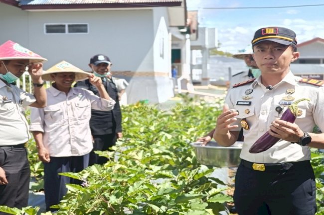 Rutan SoE Panen Terong dan Wortel, Perkuat Pembinaan Kemandirian dan Ketahanan Pangan